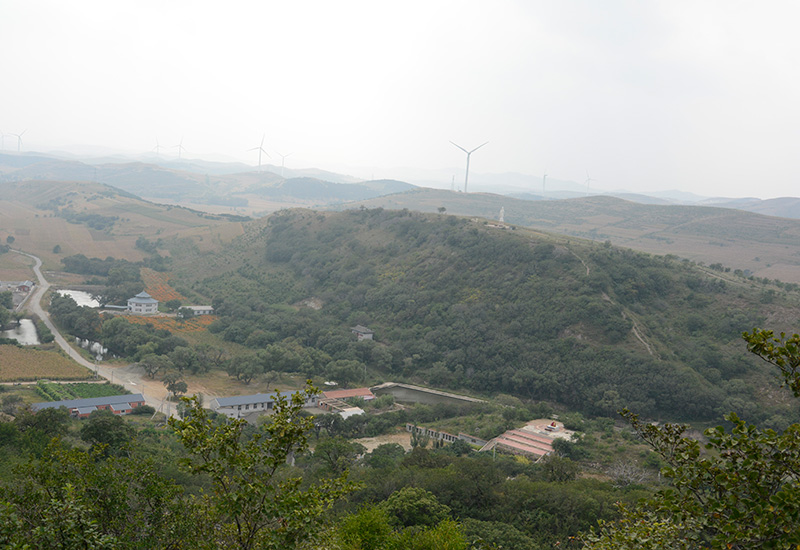 风景展示